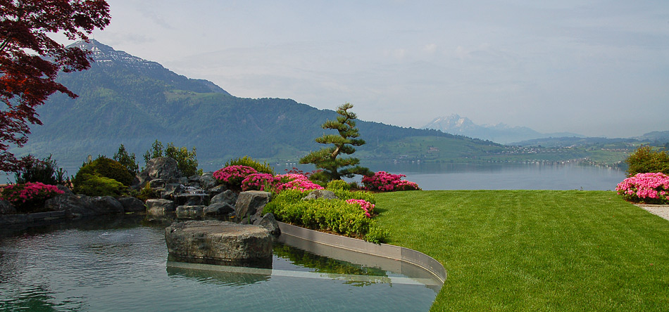 Japangarten mit Schwimmteich in der Schweiz